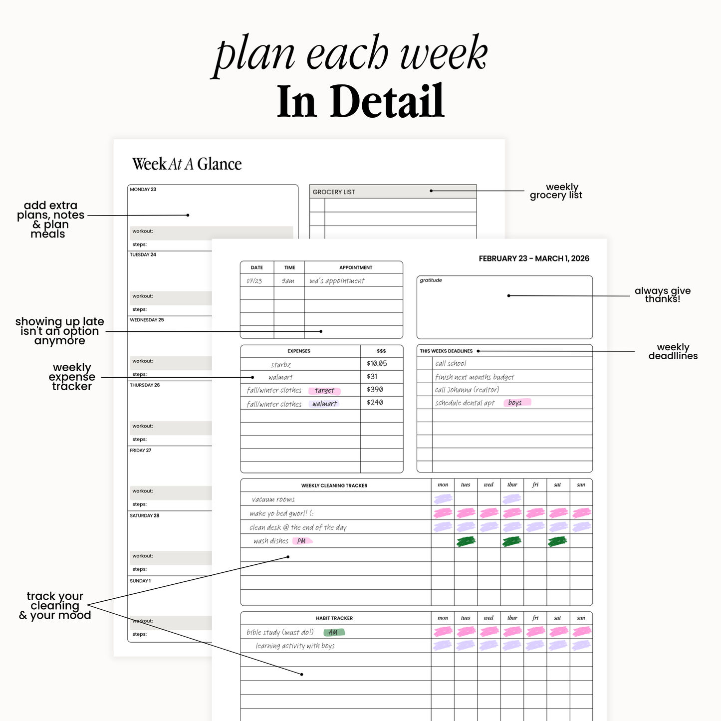 Terra Mini Holy Grail