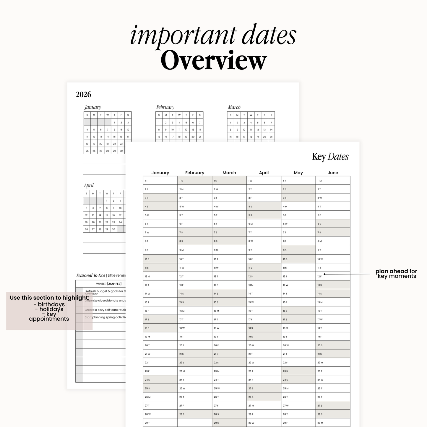 Terra Mini Holy Grail