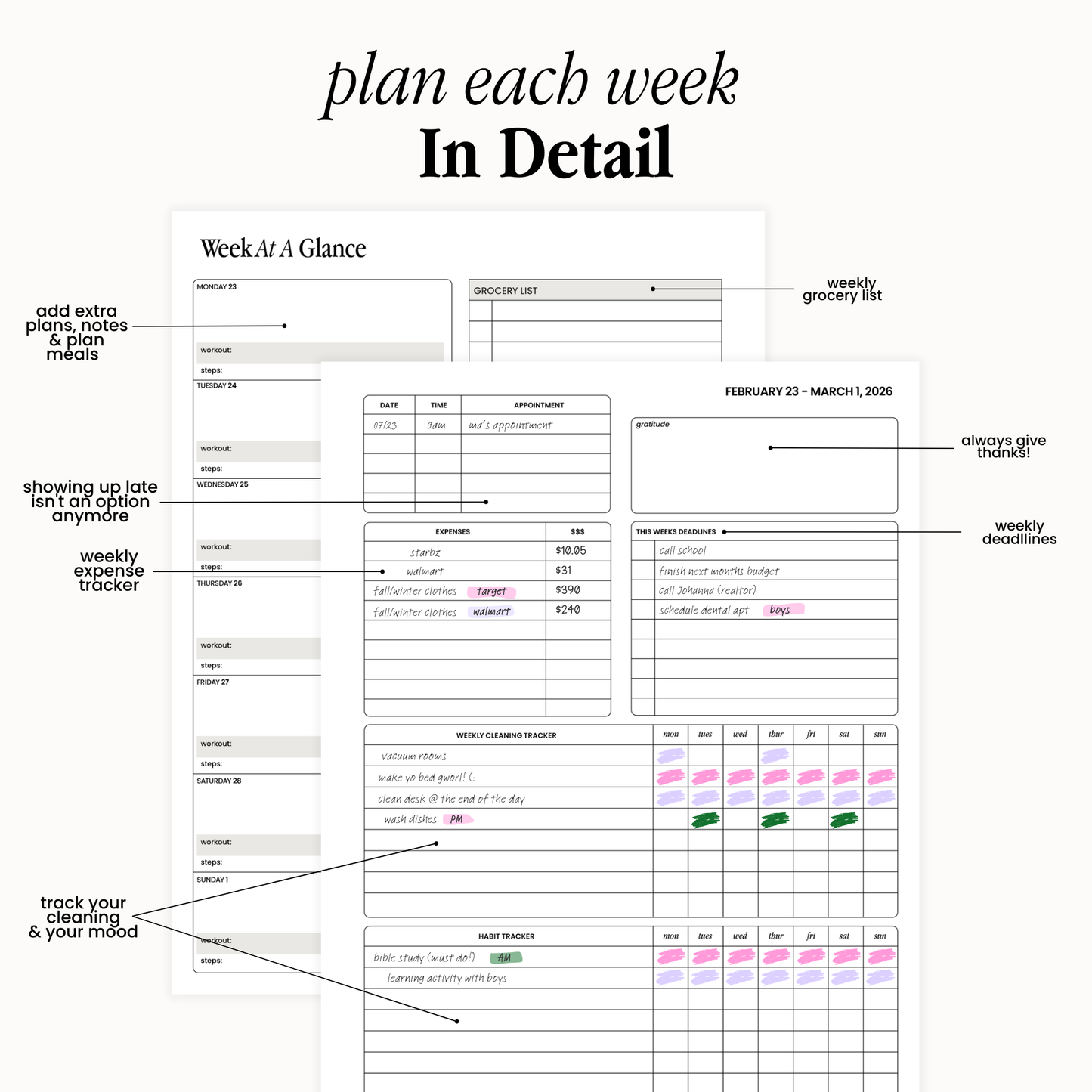 Eden Daily Holy Grail