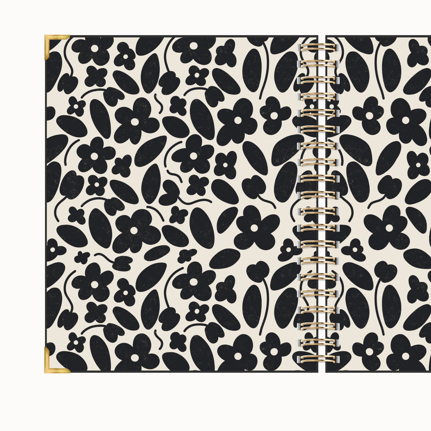 Eden Daily Holy Grail